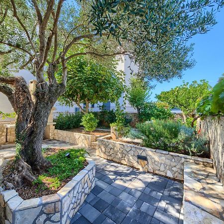 House Villa Drago روغوزنيكا المظهر الخارجي الصورة