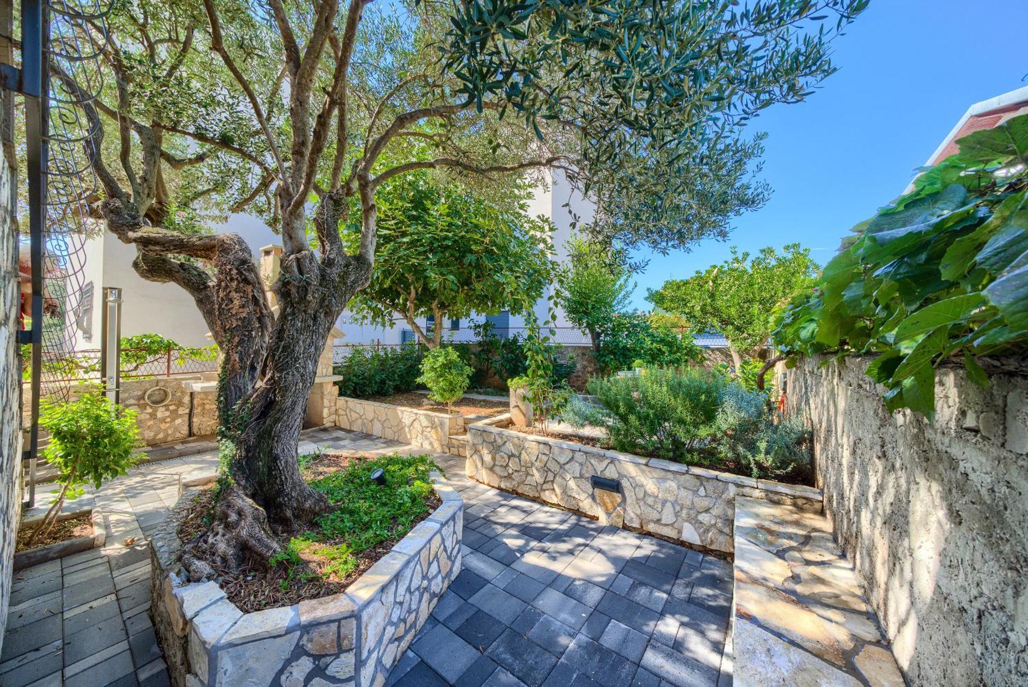 House Villa Drago روغوزنيكا المظهر الخارجي الصورة